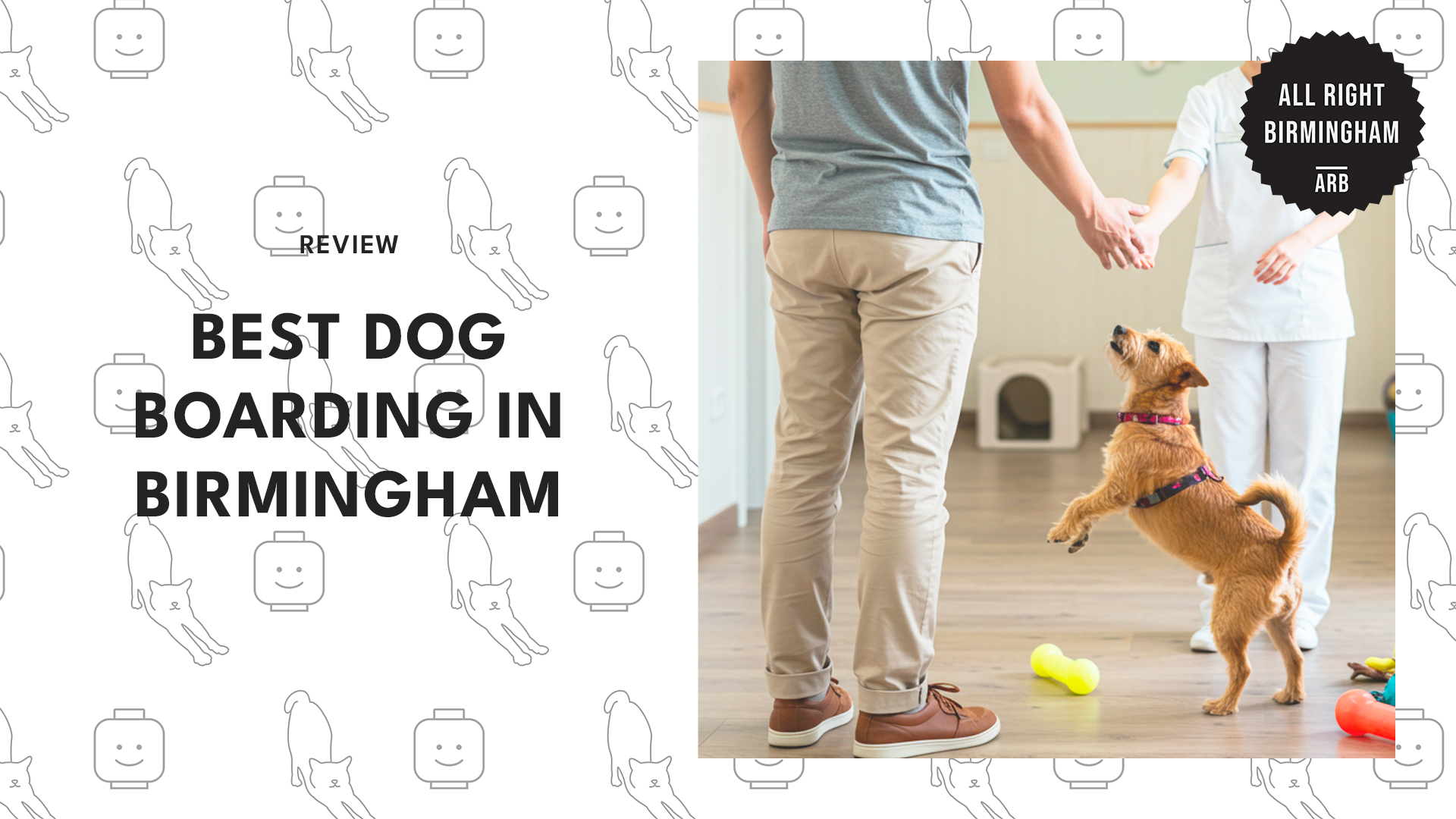 best-dog-boarding-birmingham