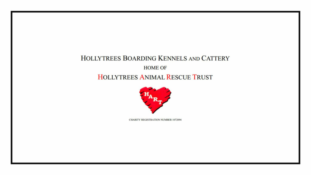 hollytrees-boarding-kennels-and-cattery