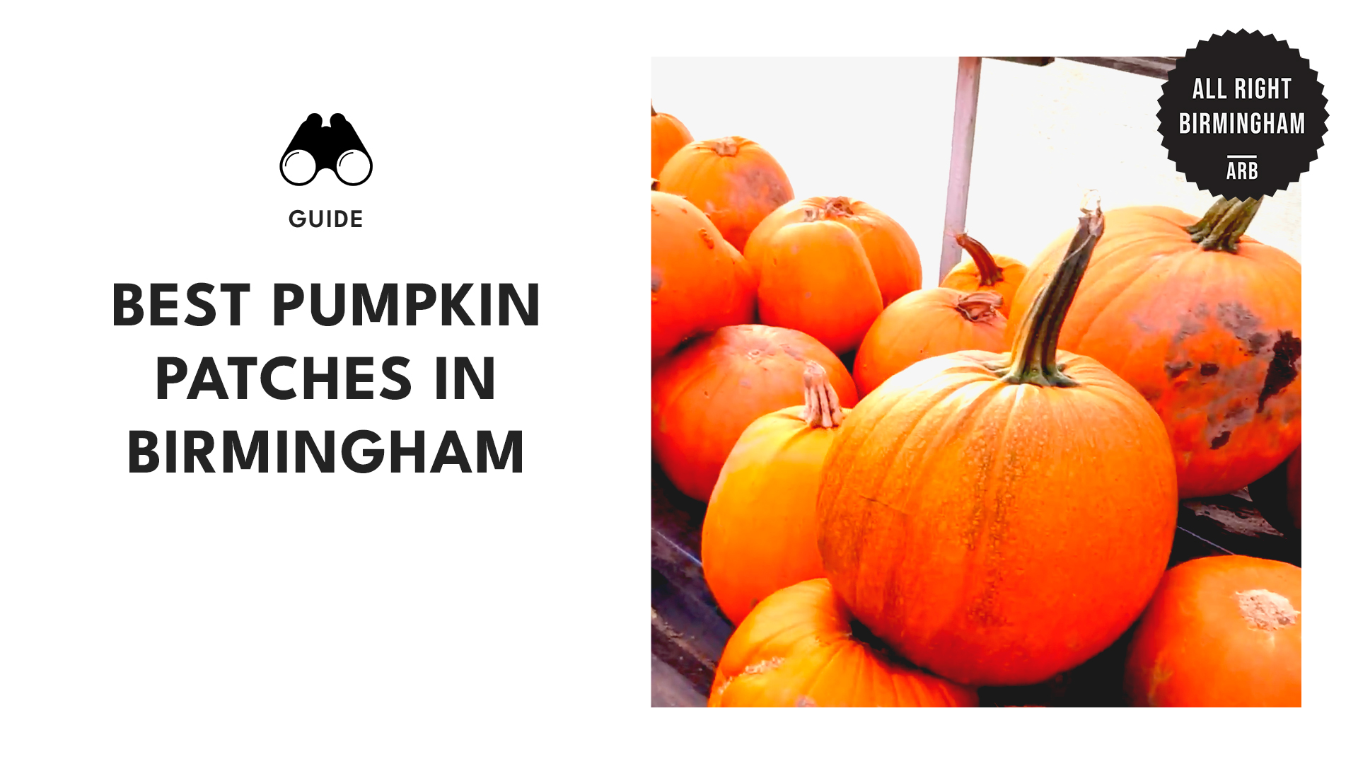best-pumpkin-patches-birmingham