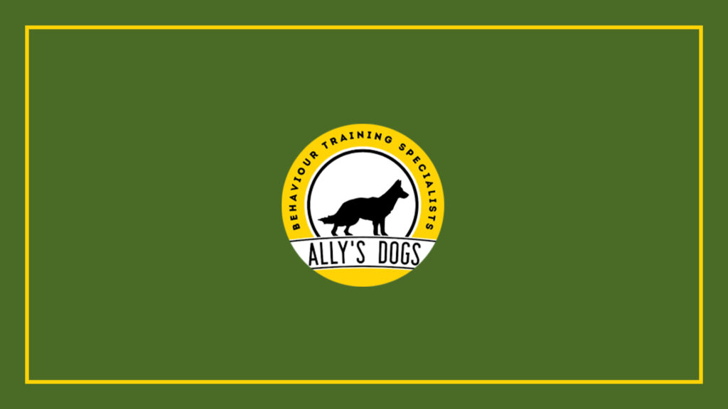 ally-s-dogs