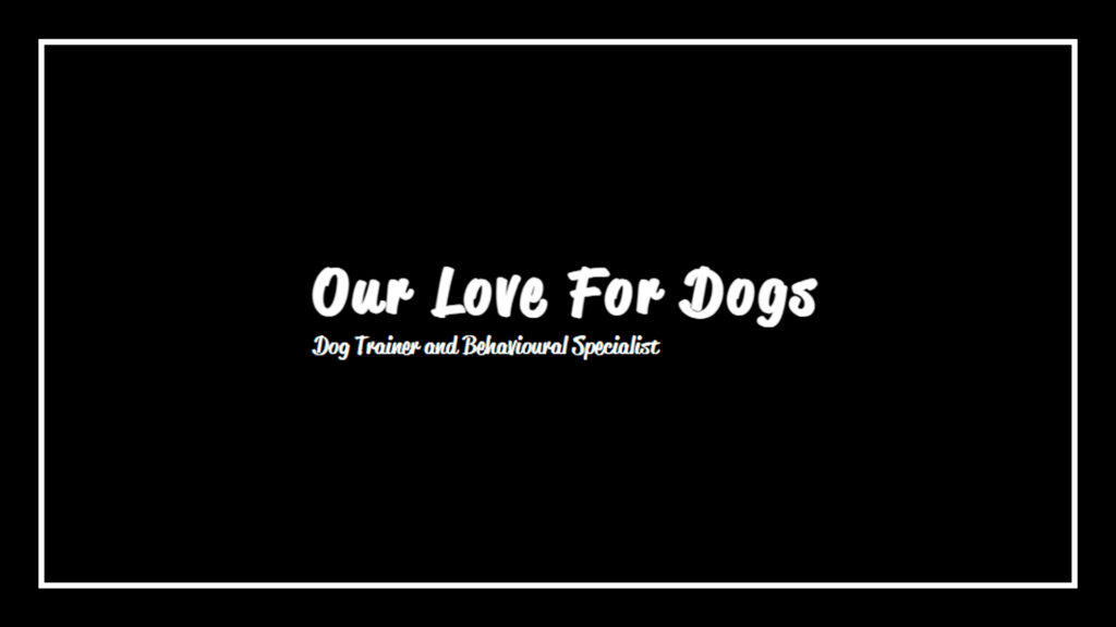 our-love-for-dogs