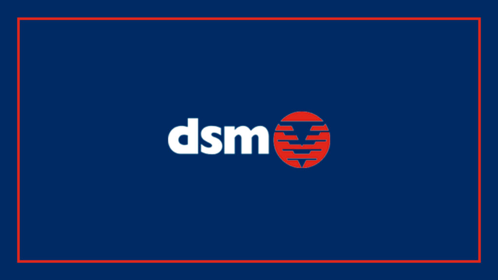 dsm-demolition-logo
