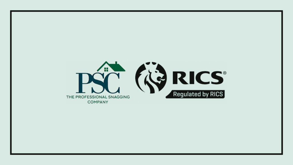 professional-snagging-company-logo