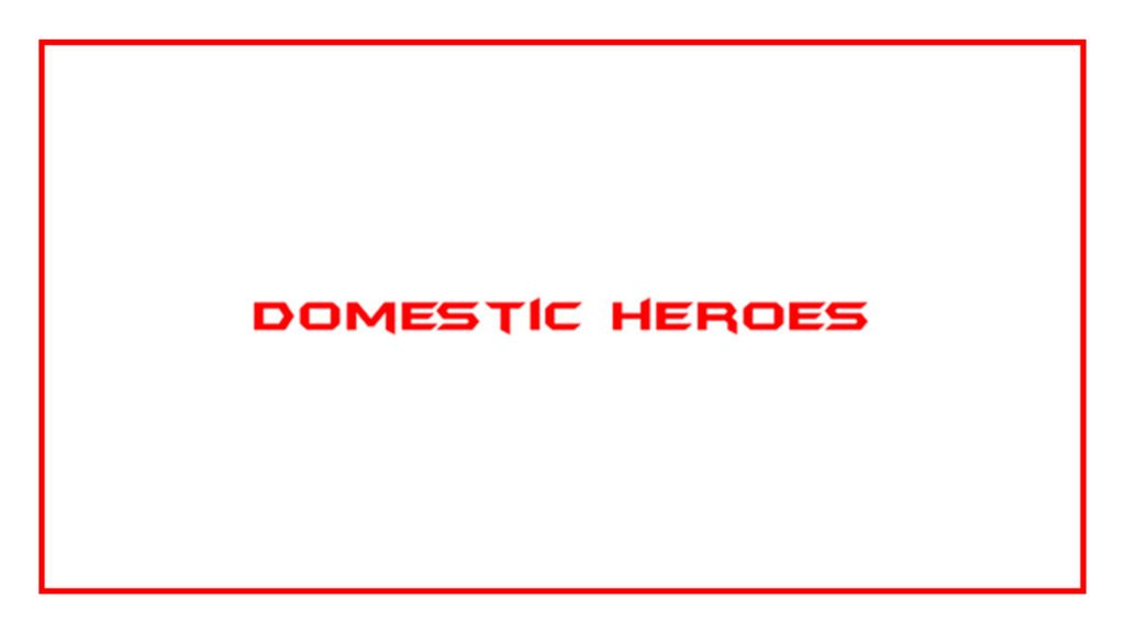 domestic-heroes-logo