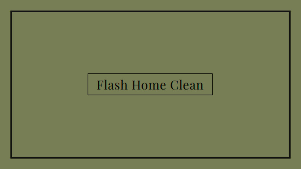 flash-home-clean-logo