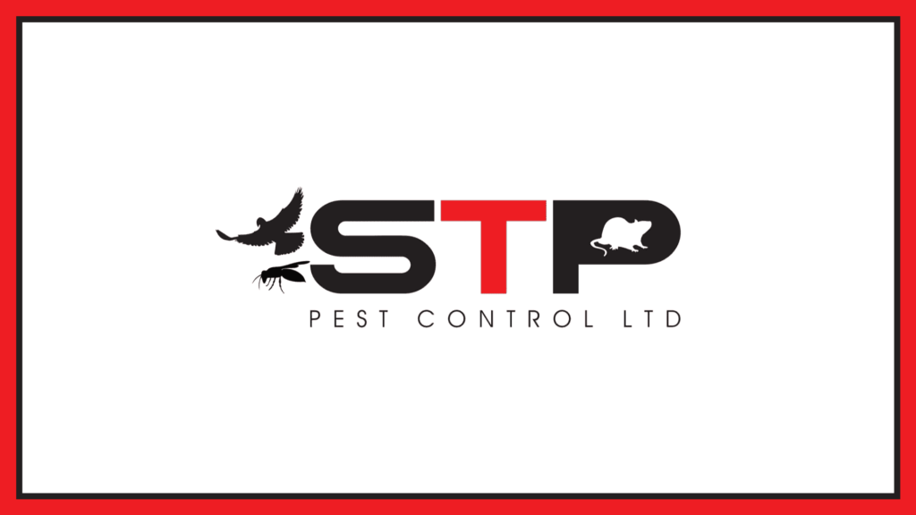 stp-pest-control-ltd