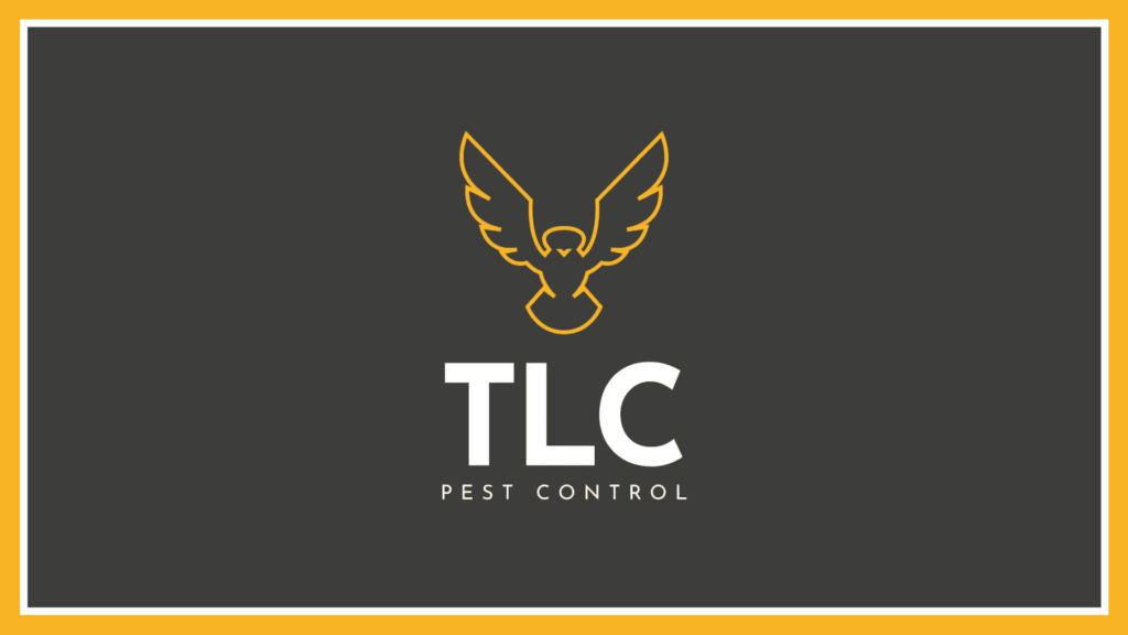 tlc-pest-control-limited