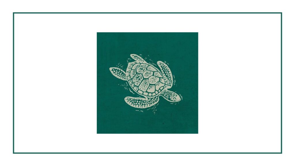 turtle-bay-birmingham